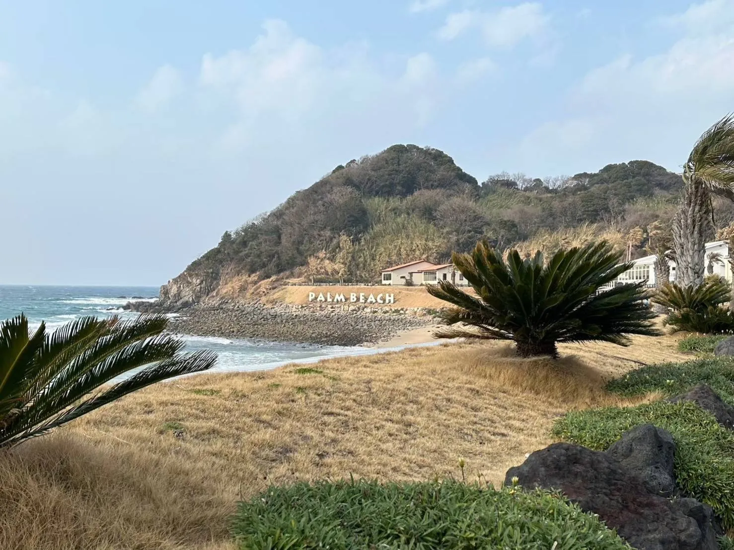 ふるさと納税で賢く控除！個人事業主ならではの注意点とは？