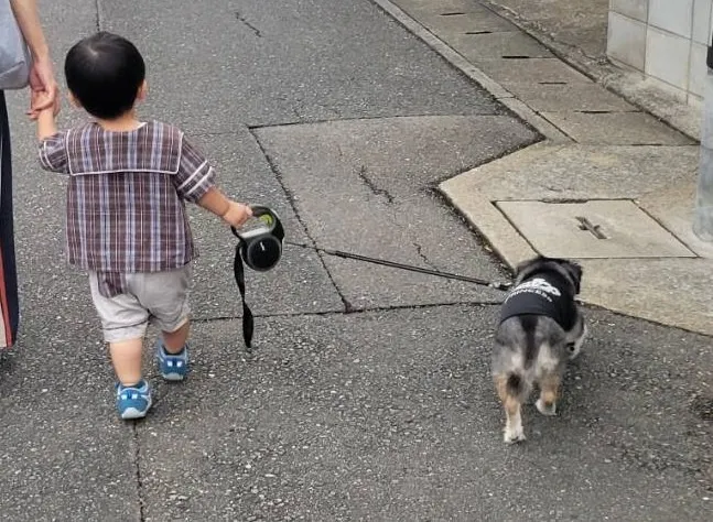 【やったー!】松戸市の物価高騰対策事業とは【3,000円】