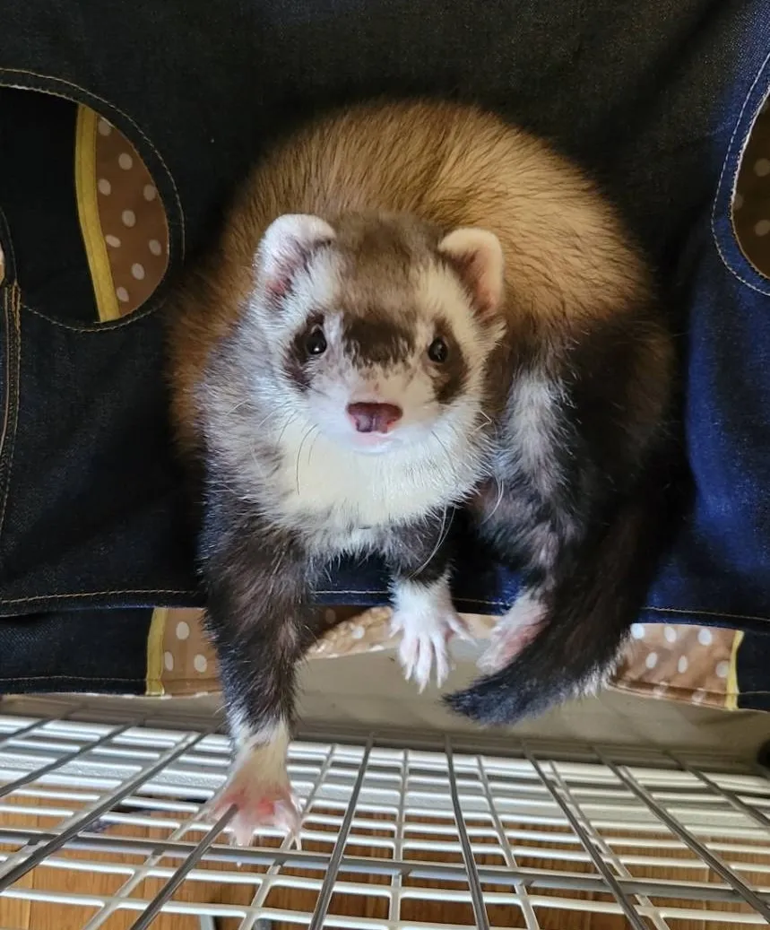 「いつ売上にするの?」現金主義と発生主義の違い