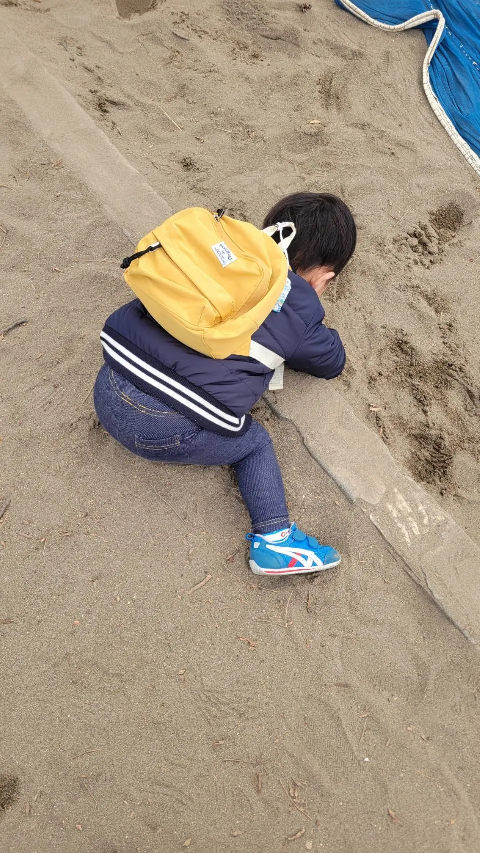 インボイス申請、課税事業者と免税事業者って何?